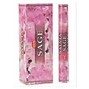 DARK NOIR Men's Perfume Secret Plus 100 ml